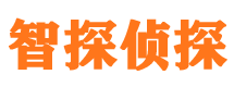 云岩侦探公司